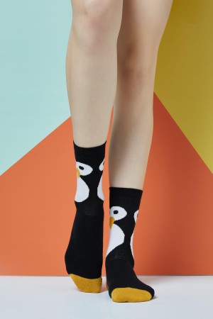 Confused Penguin Desenli Kadın Çorap