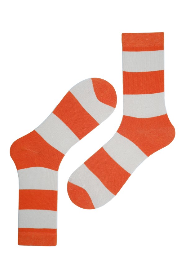Desenli Kadın Soket Çorap (265K)